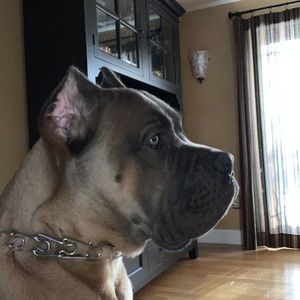 Meet your Posher, Bt